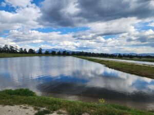 lake view with the reflection of the clouds in the water