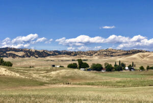 grass field with rolling hills