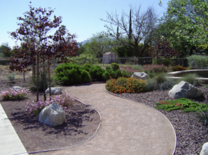 floral pathway